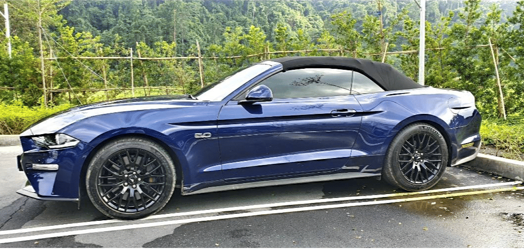 2019 Ford Mustang 2019 Ford Mustang