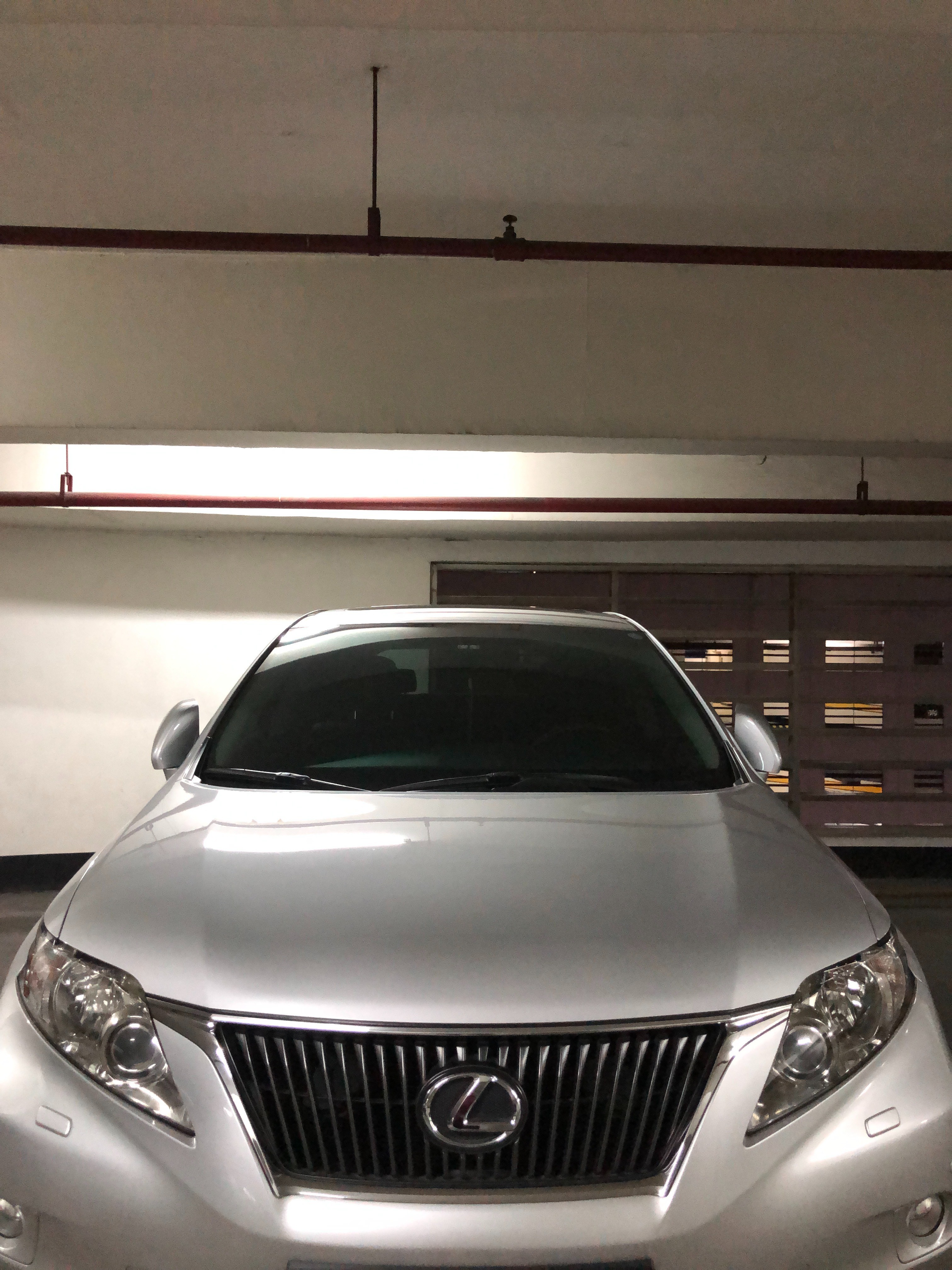 2010 Lexus RX 2010 Lexus RX