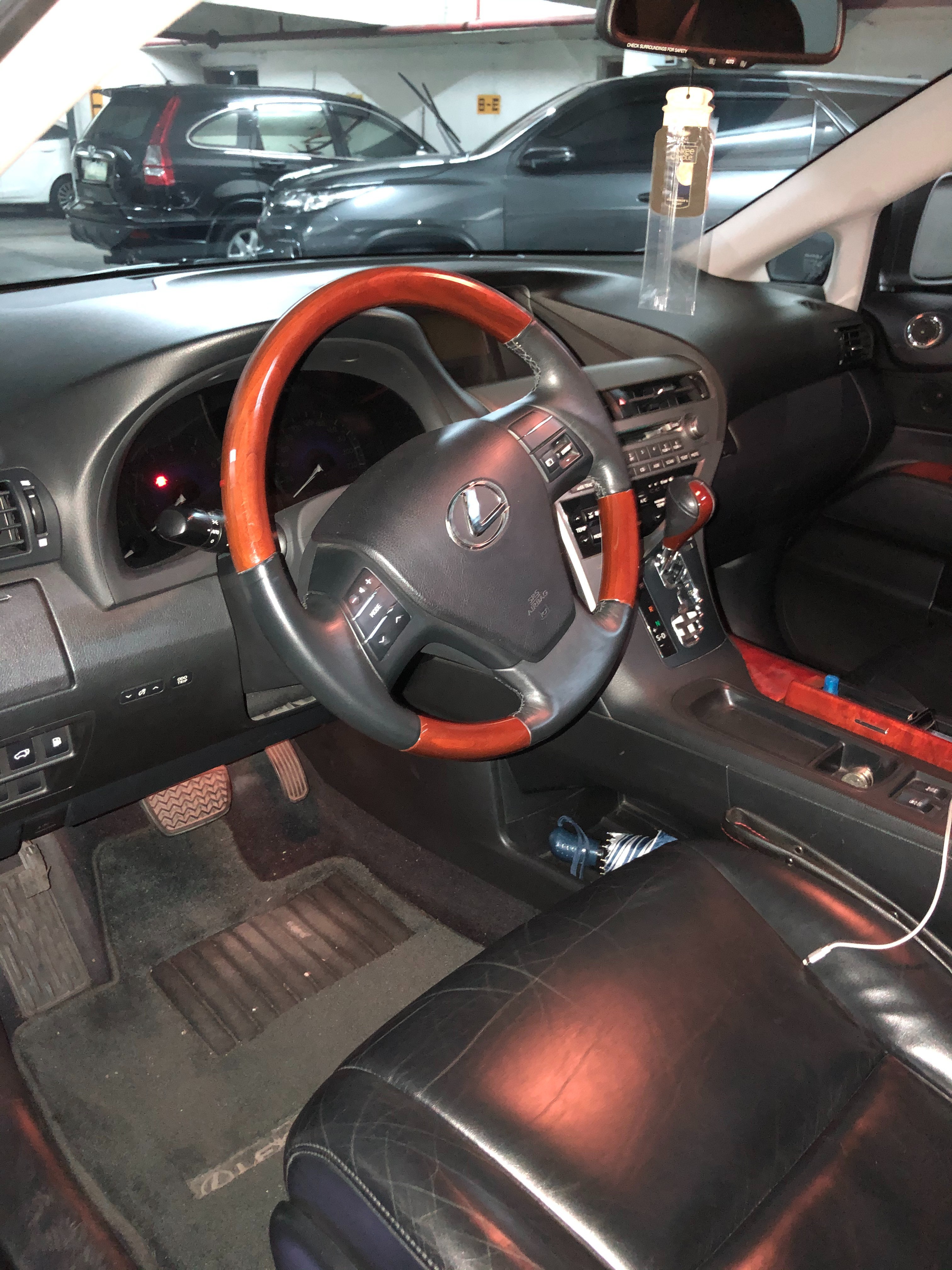 2010 Lexus RX 2010 Lexus RX