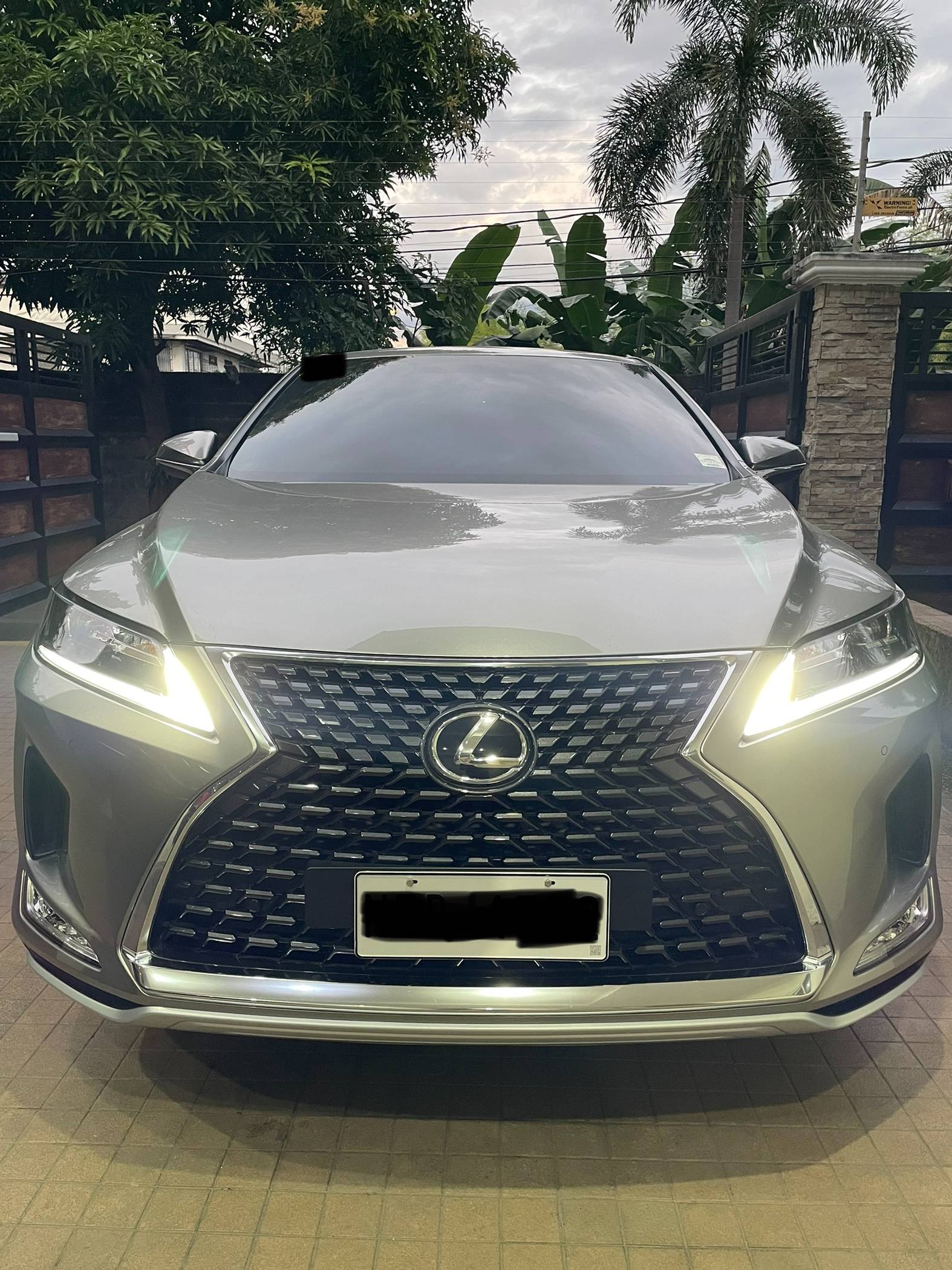 2020 Lexus RX 2020 Lexus RX