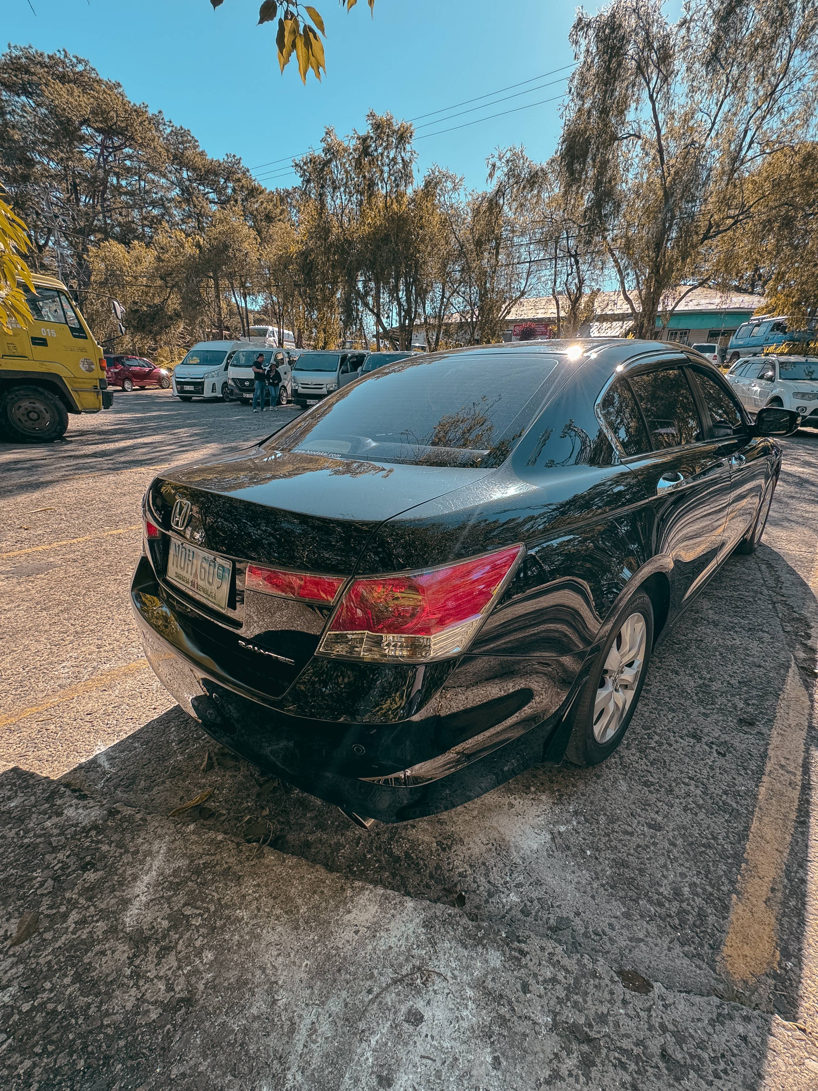 2010 Honda Accord 2010 Honda Accord