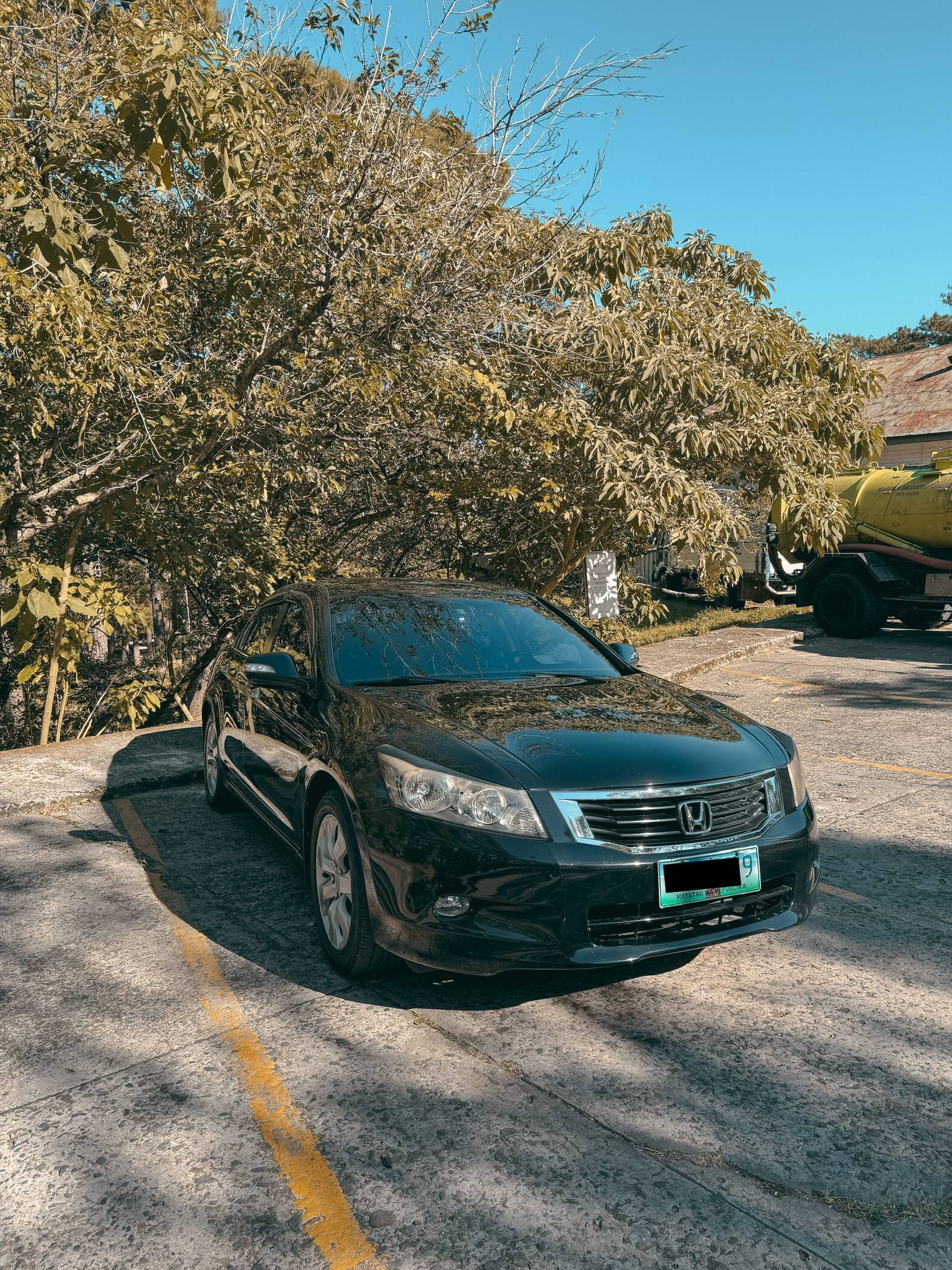 2010 Honda Accord 2010 Honda Accord