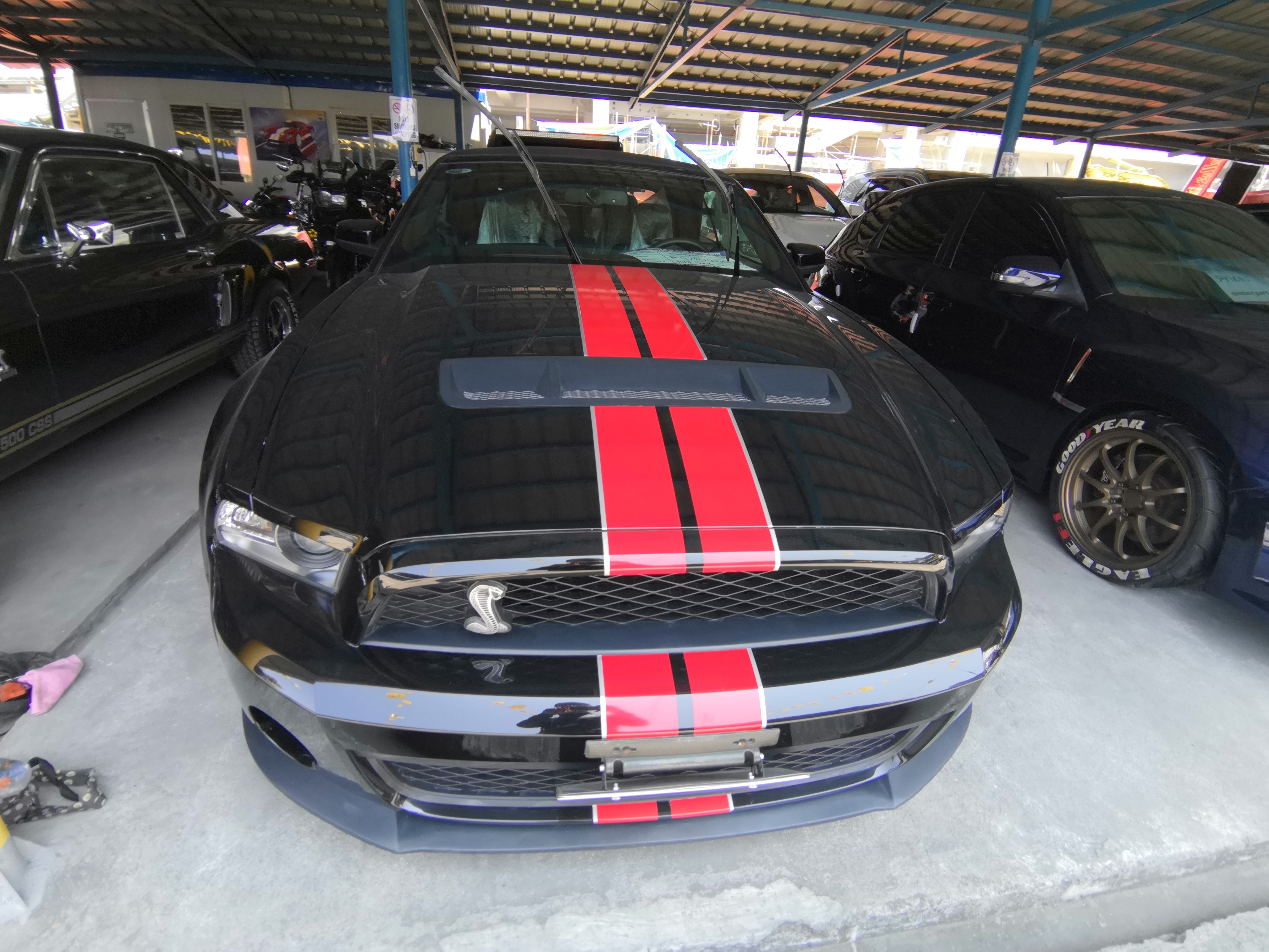Second Hand 2011 Shelby Mustang Second Hand 2011 Shelby Mustang