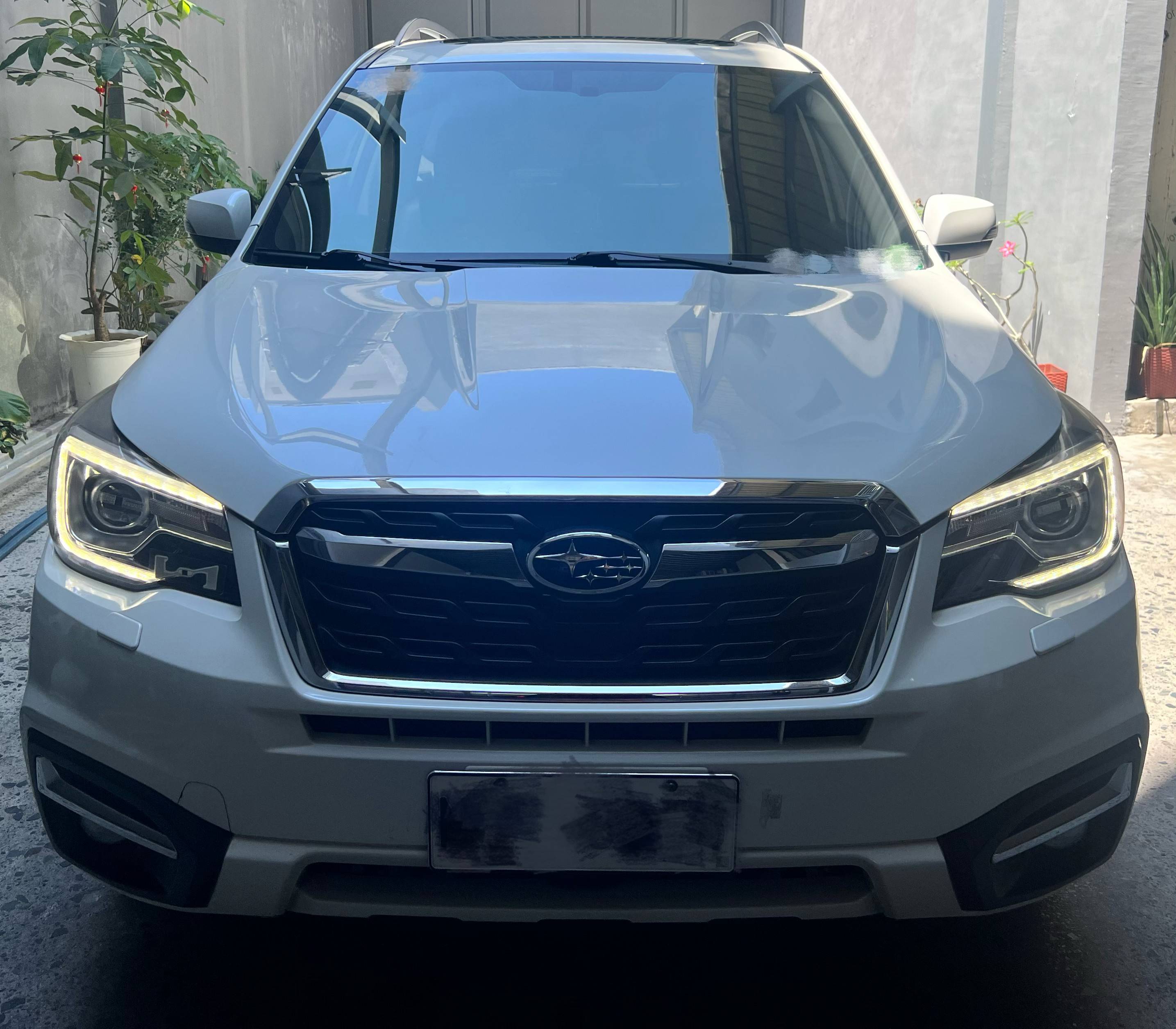 Second Hand 2016 Subaru Forester Second Hand 2016 Subaru Forester