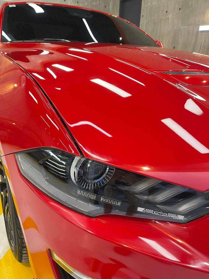 2019 Ford Mustang 2019 Ford Mustang