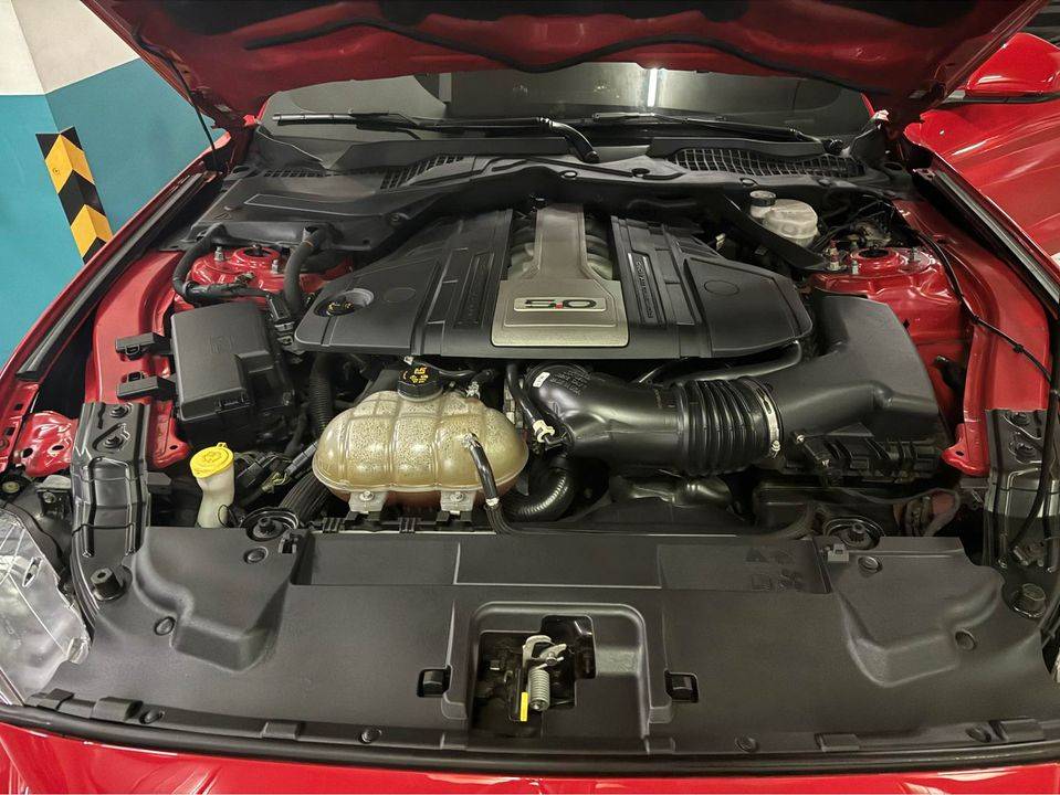 2019 Ford Mustang 2019 Ford Mustang