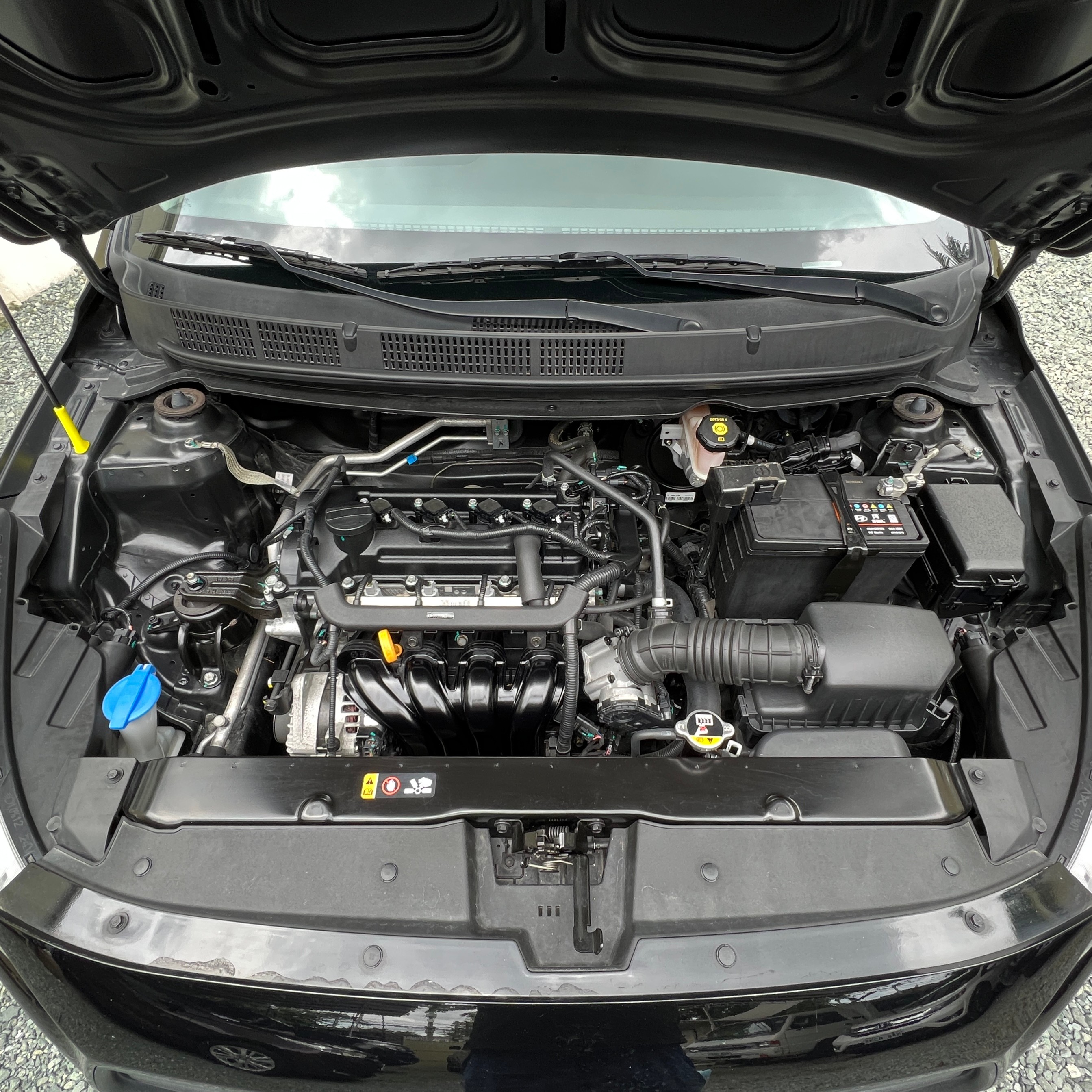 2020 Hyundai Reina 2020 Hyundai Reina