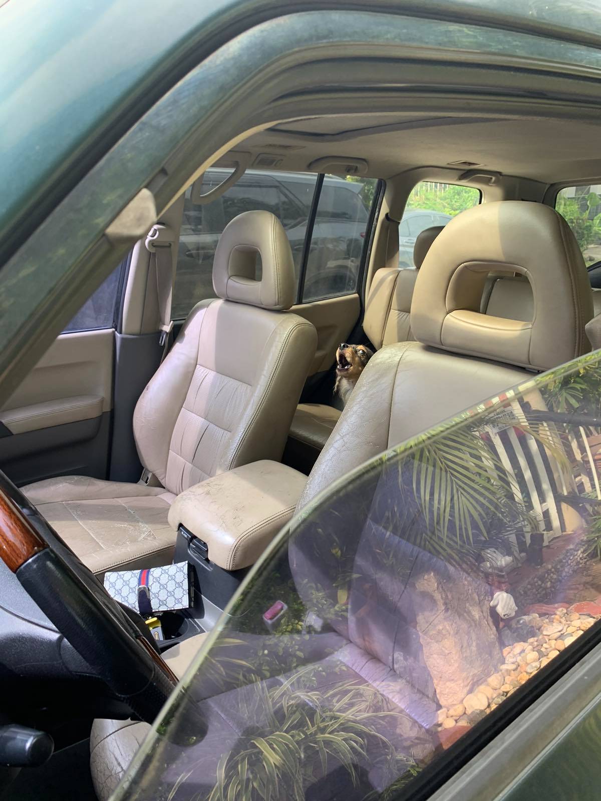 2001 Mitsubishi Pajero 2001 Mitsubishi Pajero