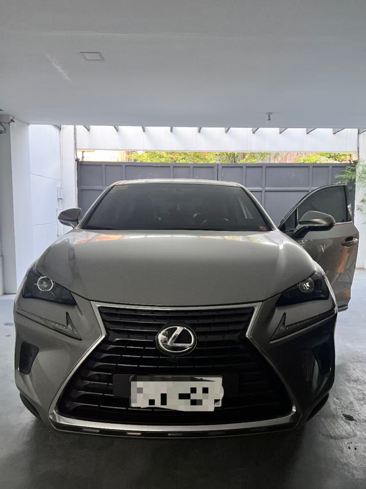 Second Hand 2019 Lexus NX Second Hand 2019 Lexus NX