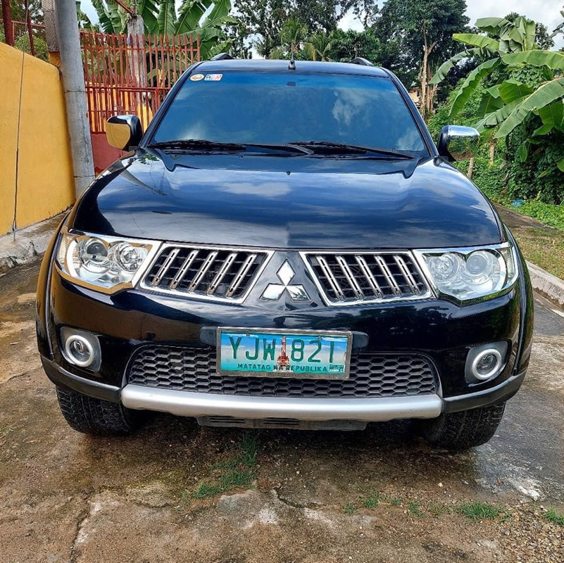 2010 Mitsubishi Montero Sport 2010 Mitsubishi Montero Sport