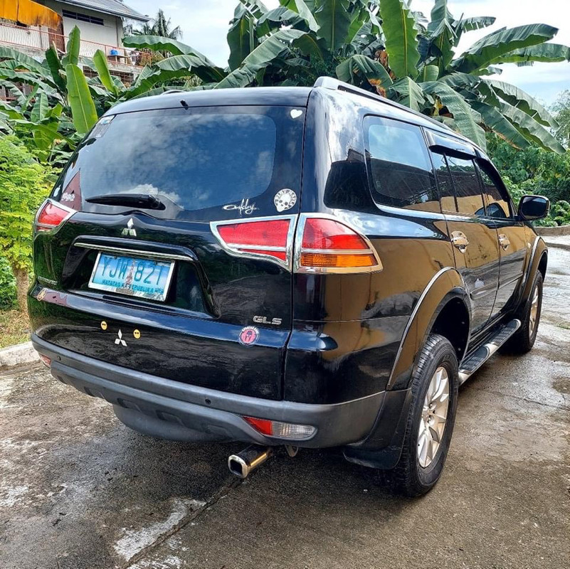 2010 Mitsubishi Montero Sport 2010 Mitsubishi Montero Sport