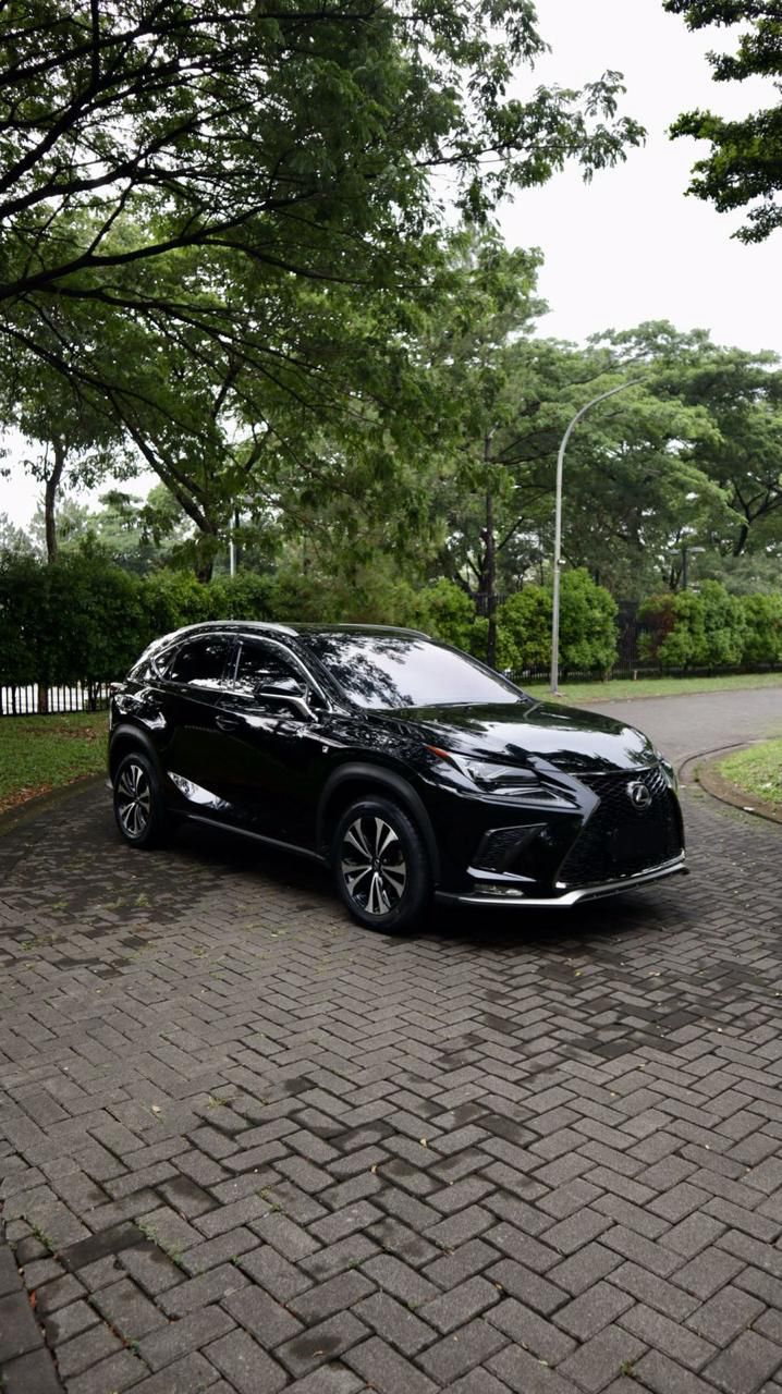 2018 Lexus NX 300 F-Sport 2018 Lexus NX 300 F-Sport