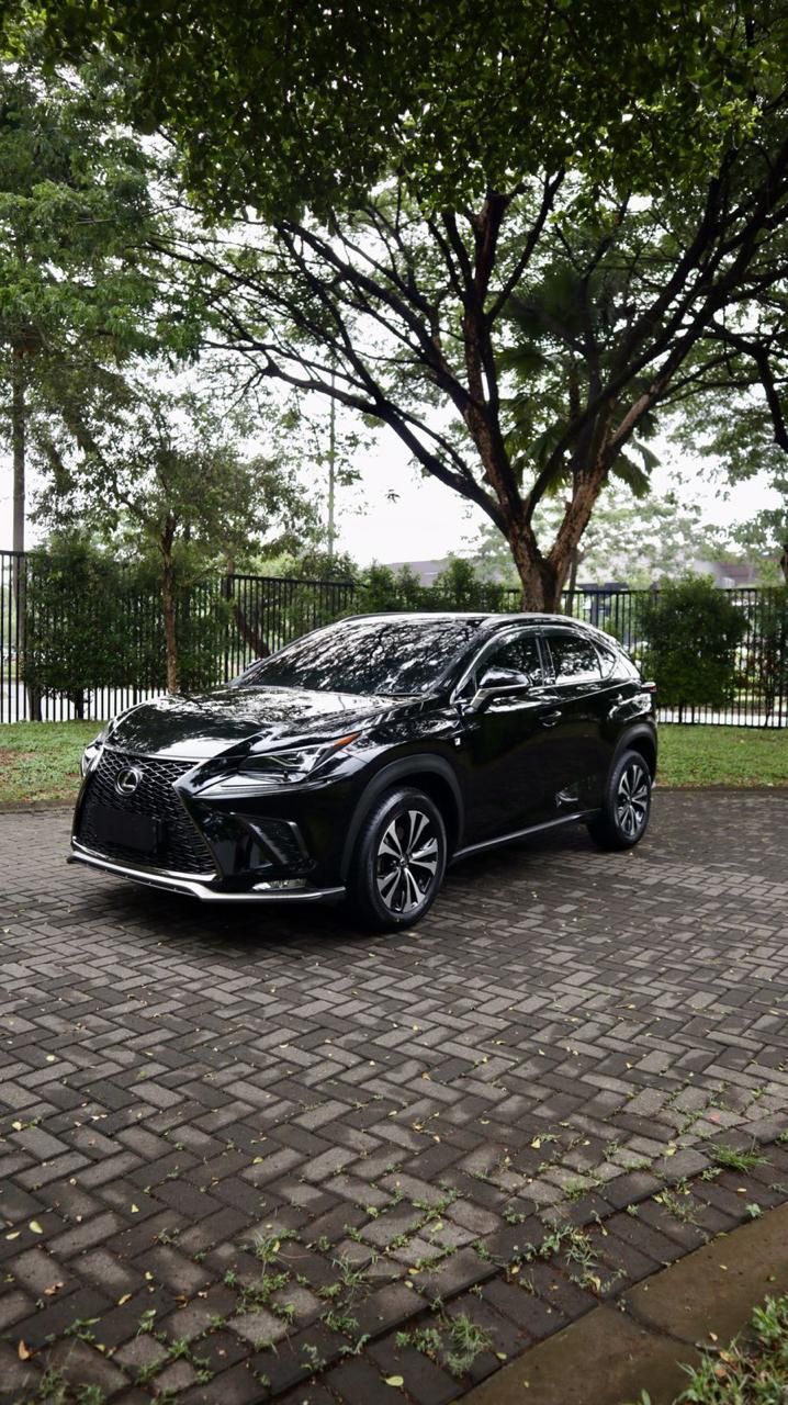 2018 Lexus NX 300 F-Sport 2018 Lexus NX 300 F-Sport