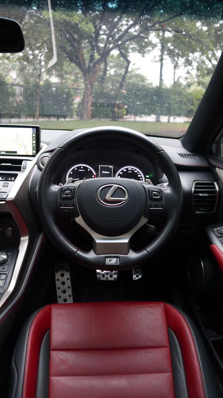 2018 Lexus NX 300 F-Sport 2018 Lexus NX 300 F-Sport