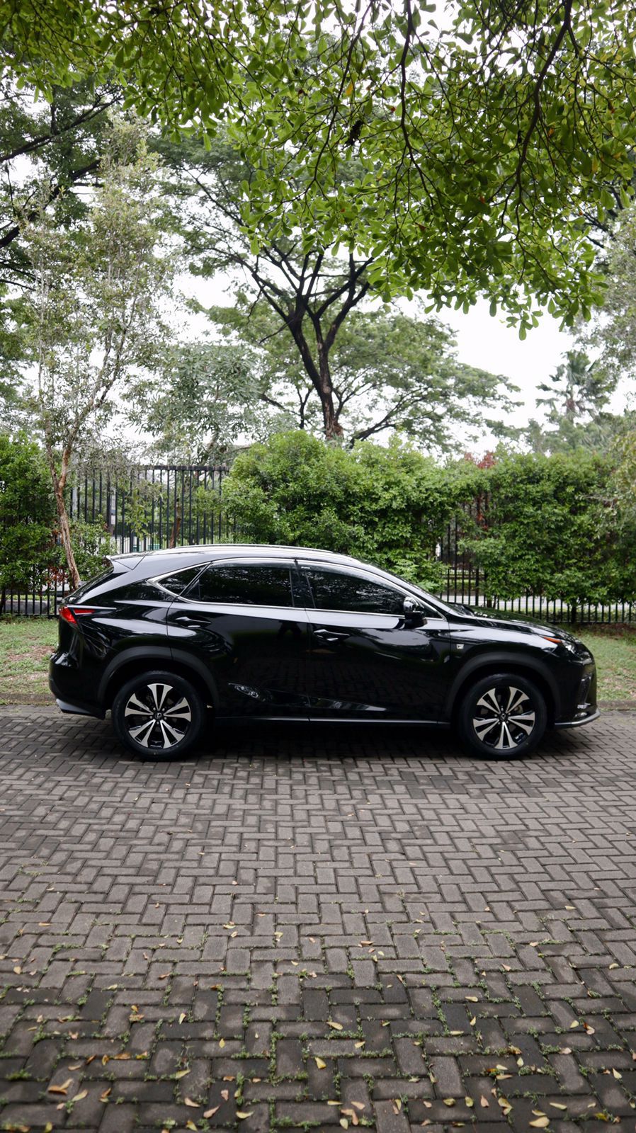 2018 Lexus NX 300 F-Sport 2018 Lexus NX 300 F-Sport