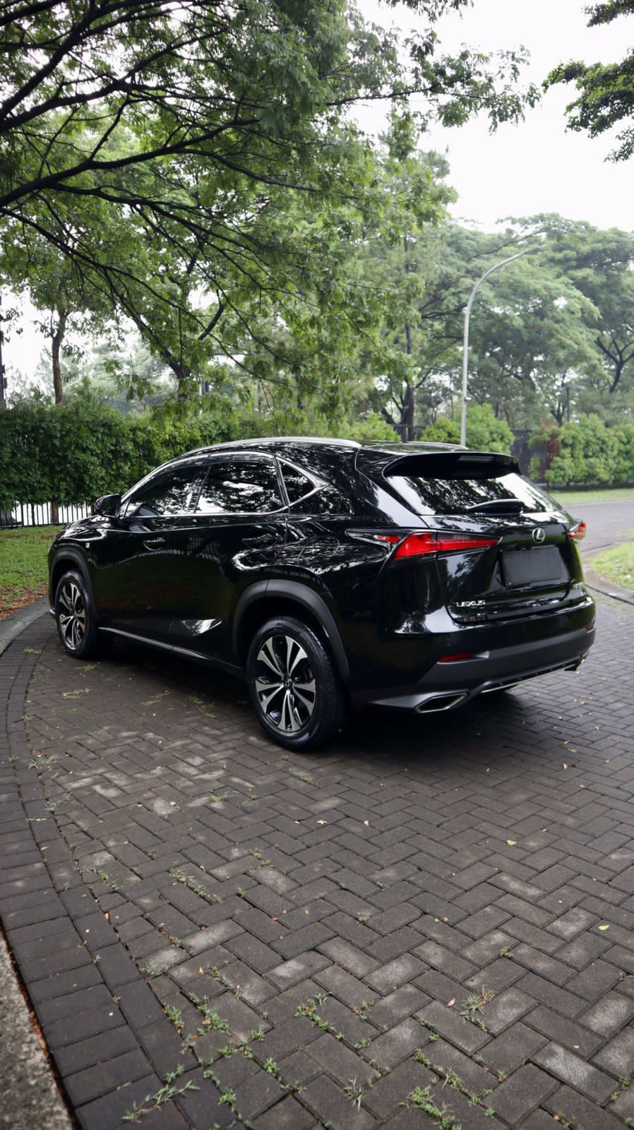 2018 Lexus NX 300 F-Sport 2018 Lexus NX 300 F-Sport
