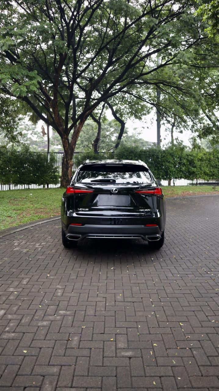 2018 Lexus NX 300 F-Sport 2018 Lexus NX 300 F-Sport