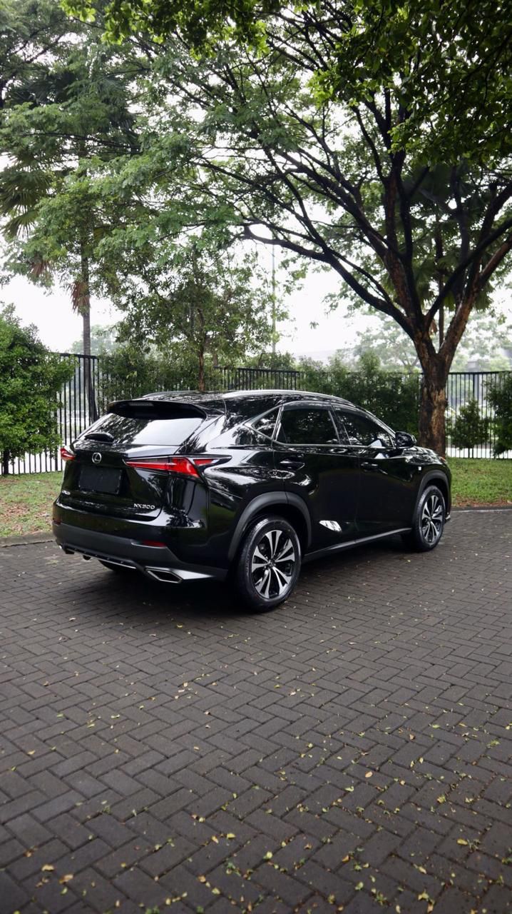 2018 Lexus NX 300 F-Sport 2018 Lexus NX 300 F-Sport