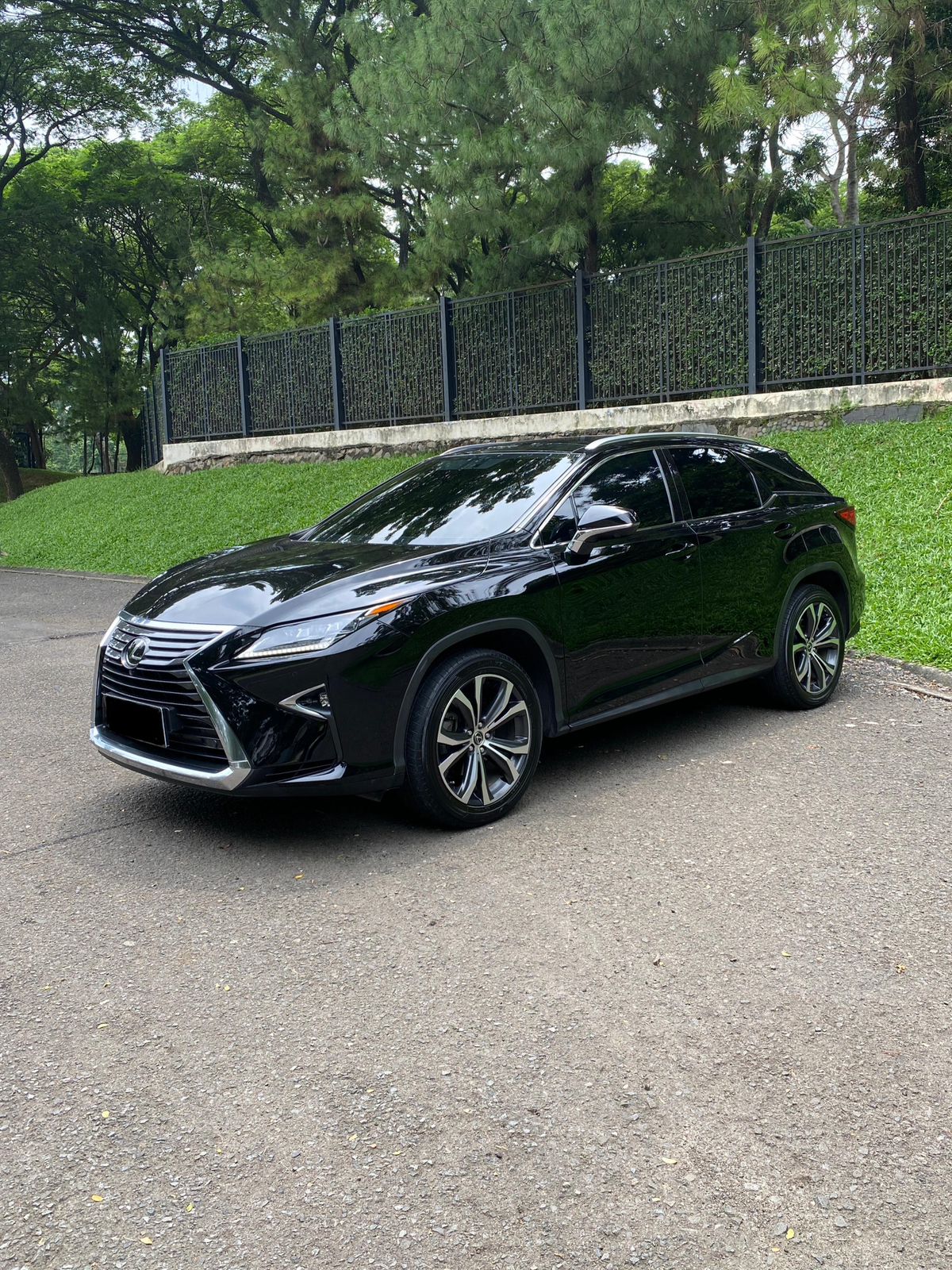 2018 Lexus RX 300 Luxury Bekas 2018 Lexus RX 300 Luxury Bekas
