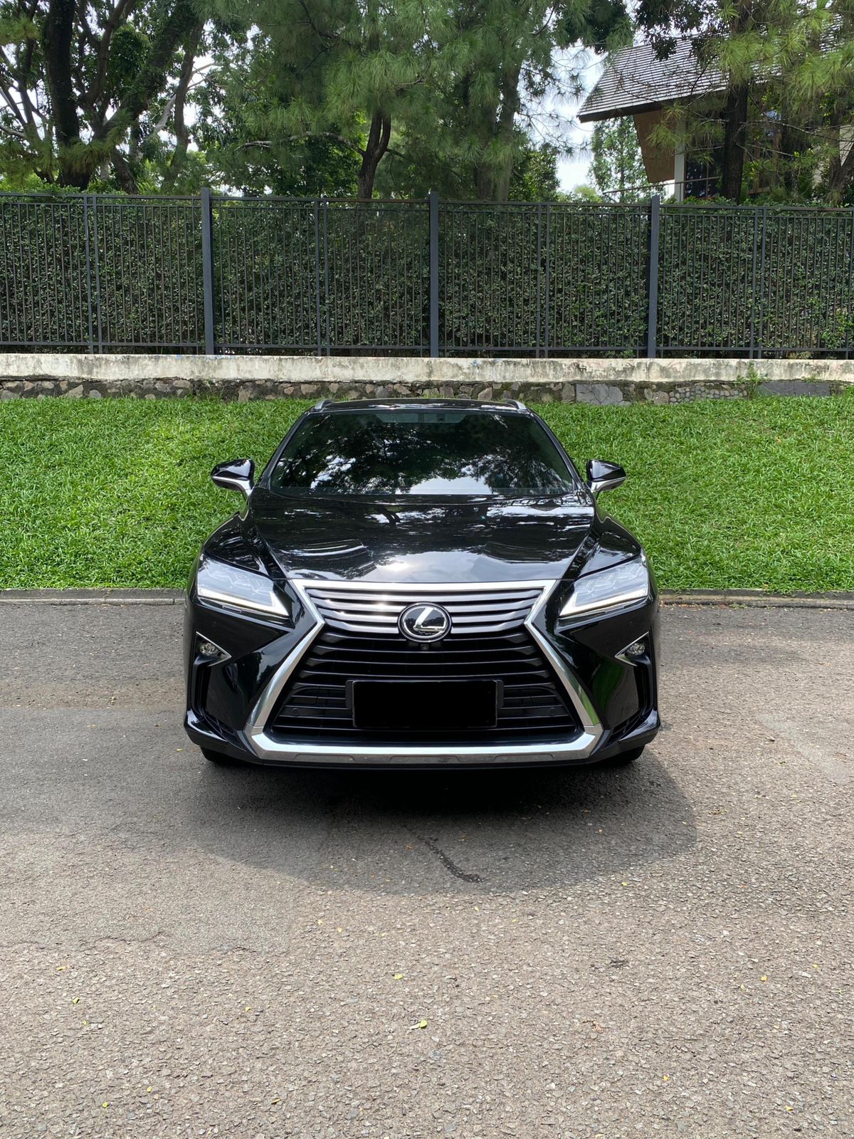 2018 Lexus RX 300 Luxury 2018 Lexus RX 300 Luxury