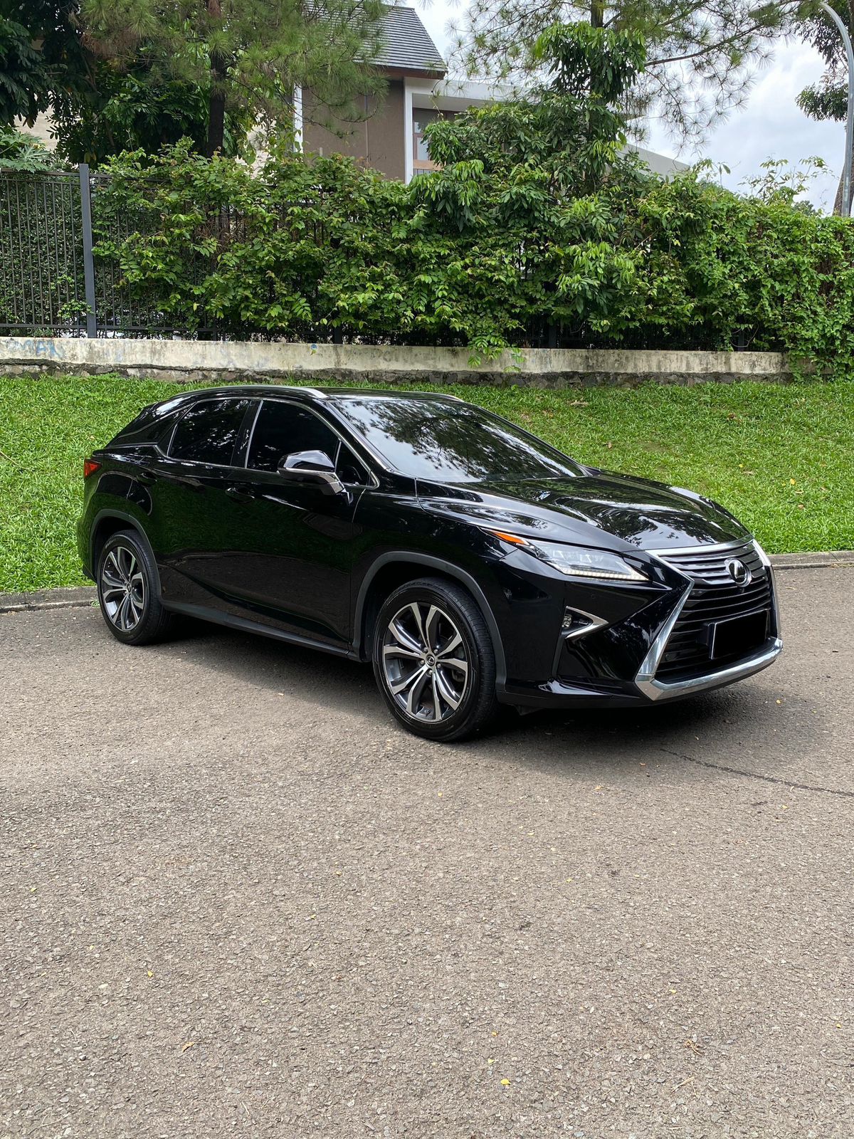2018 Lexus RX 300 Luxury 2018 Lexus RX 300 Luxury