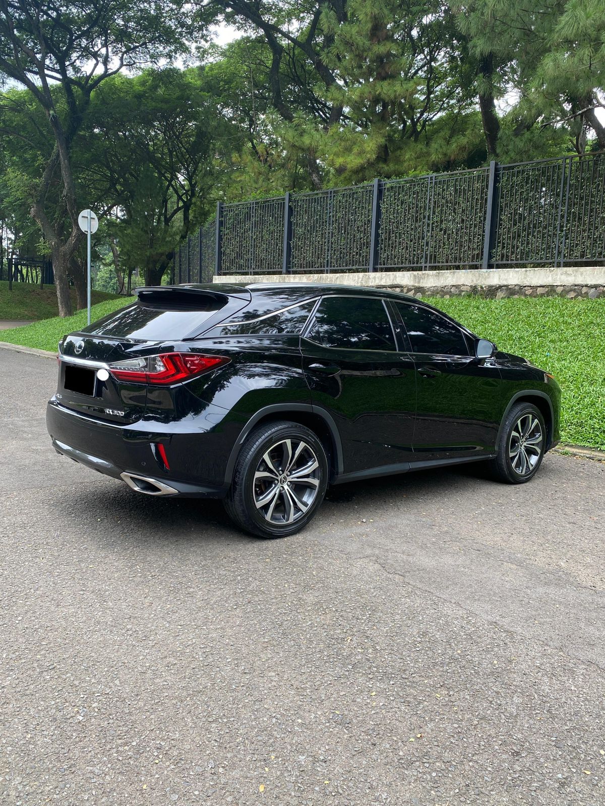 2018 Lexus RX 300 Luxury 2018 Lexus RX 300 Luxury