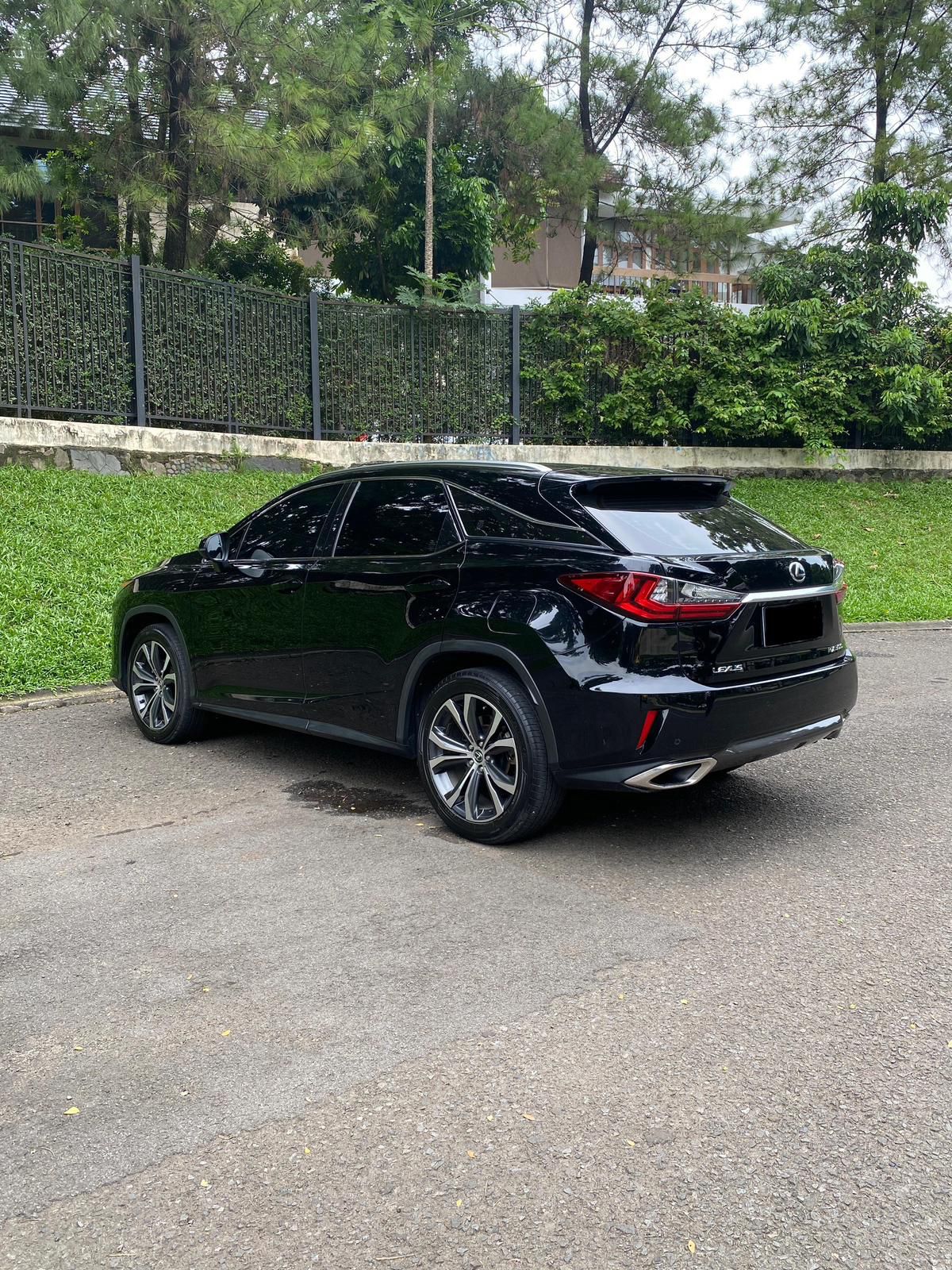 2018 Lexus RX 300 Luxury 2018 Lexus RX 300 Luxury