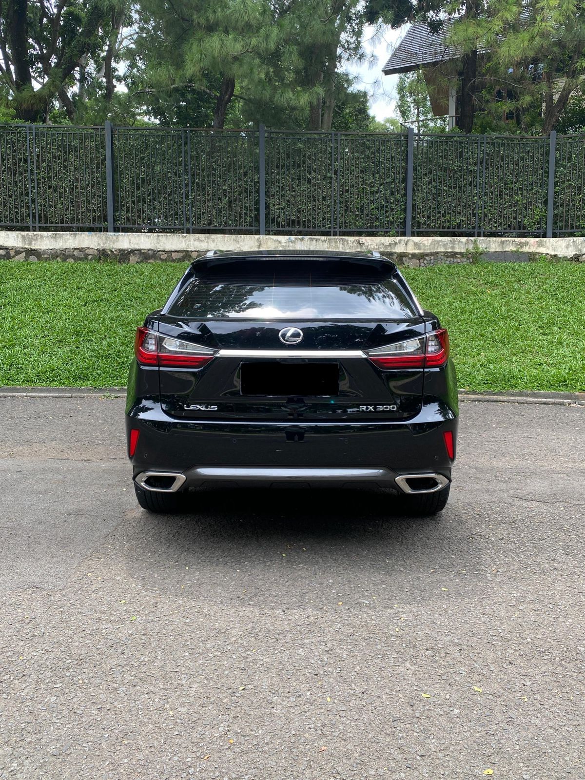 2018 Lexus RX 300 Luxury 2018 Lexus RX 300 Luxury