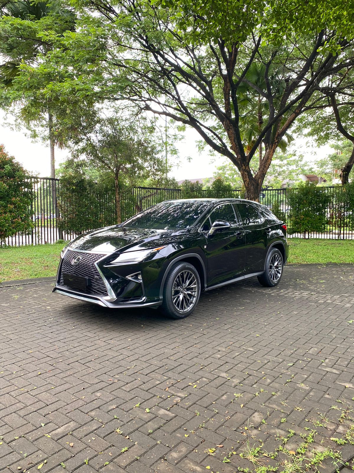 2019 Lexus RX 300 F Sport 2019 Lexus RX 300 F Sport