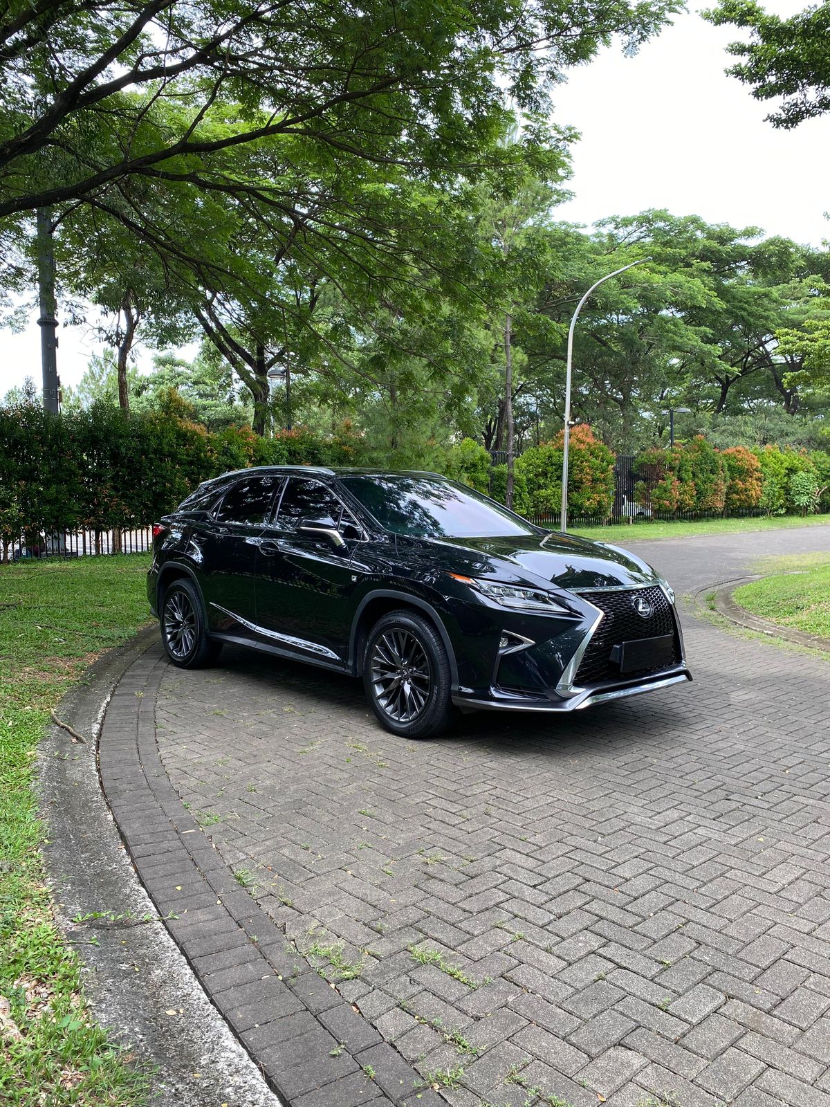2016 Lexus RX 2016 Lexus RX