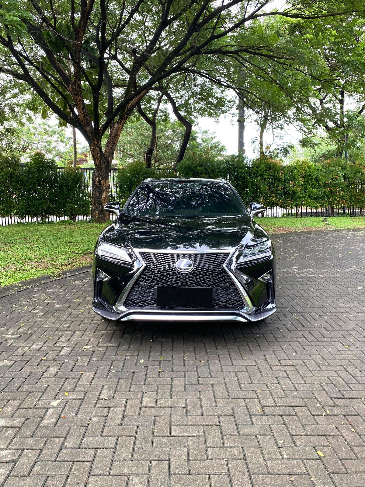 2018 Lexus RX 300 F Sport 2018 Lexus RX 300 F Sport