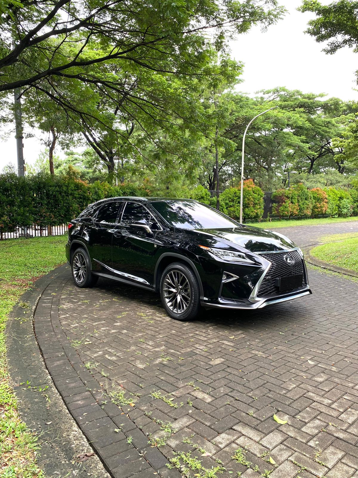 2018 Lexus RX 300 F Sport 2018 Lexus RX 300 F Sport