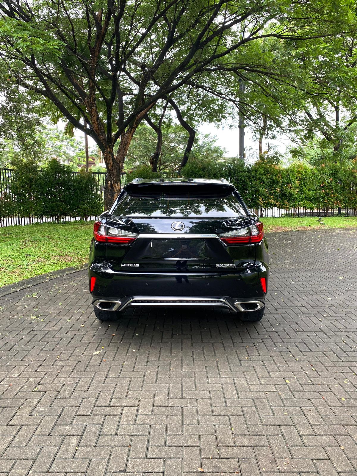 2018 Lexus RX 300 F Sport 2018 Lexus RX 300 F Sport
