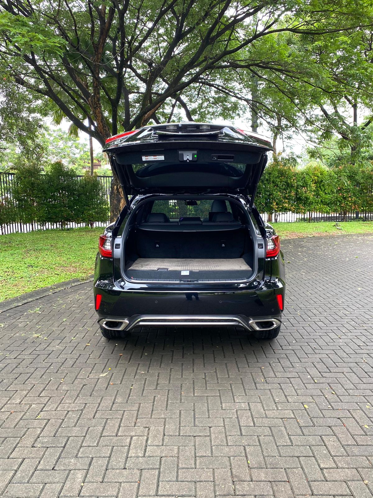 2018 Lexus RX 300 F Sport 2018 Lexus RX 300 F Sport