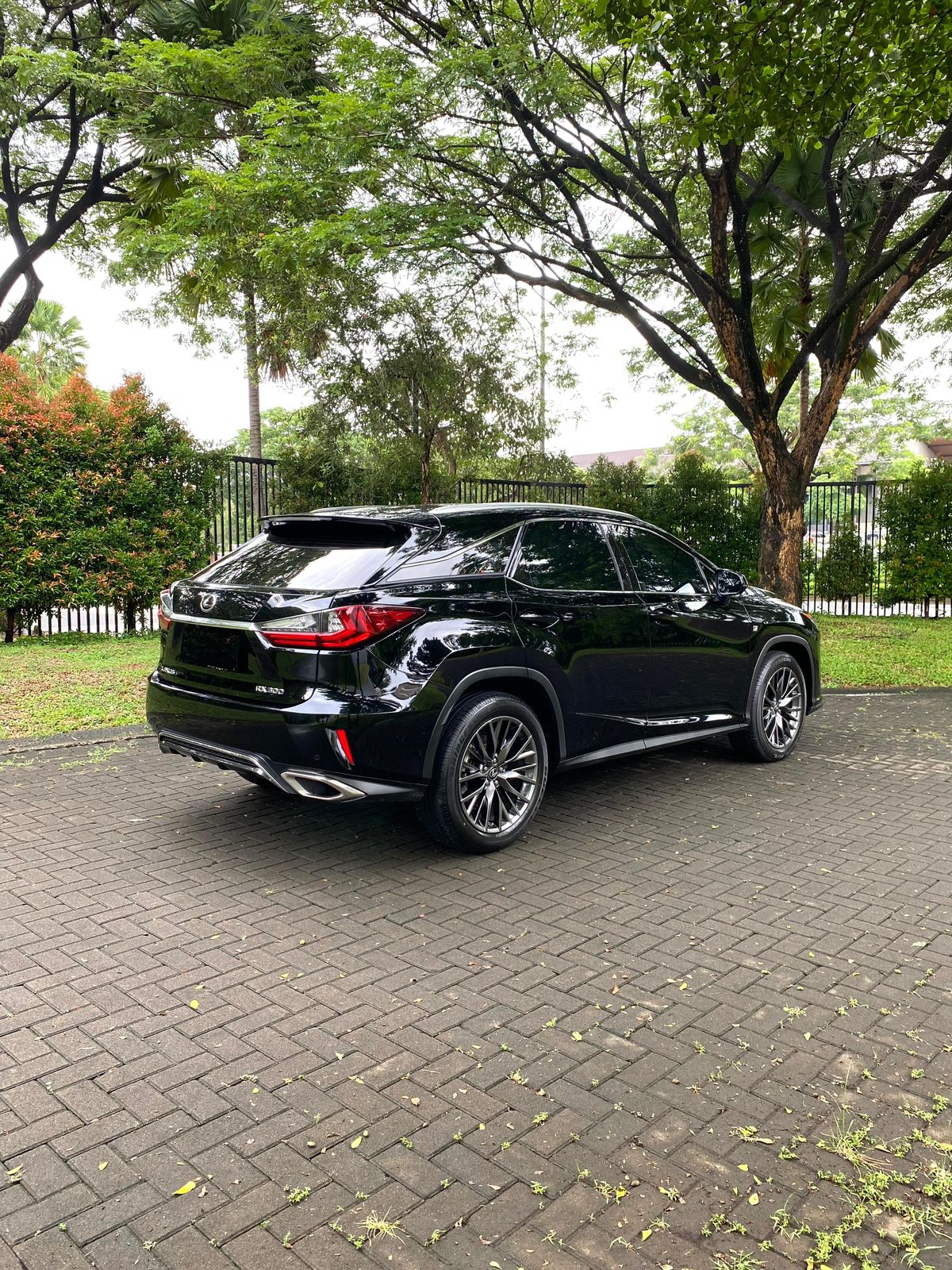 2018 Lexus RX 300 F Sport 2018 Lexus RX 300 F Sport