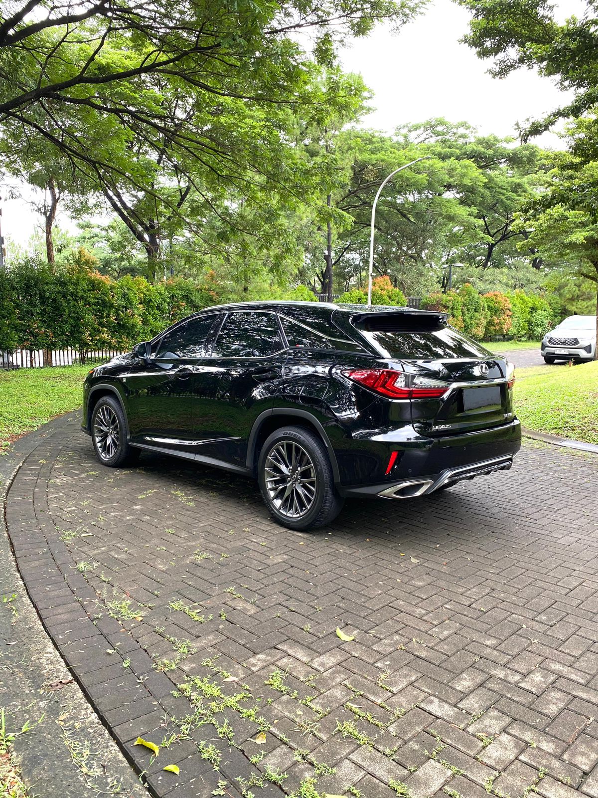 2018 Lexus RX 300 F Sport 2018 Lexus RX 300 F Sport
