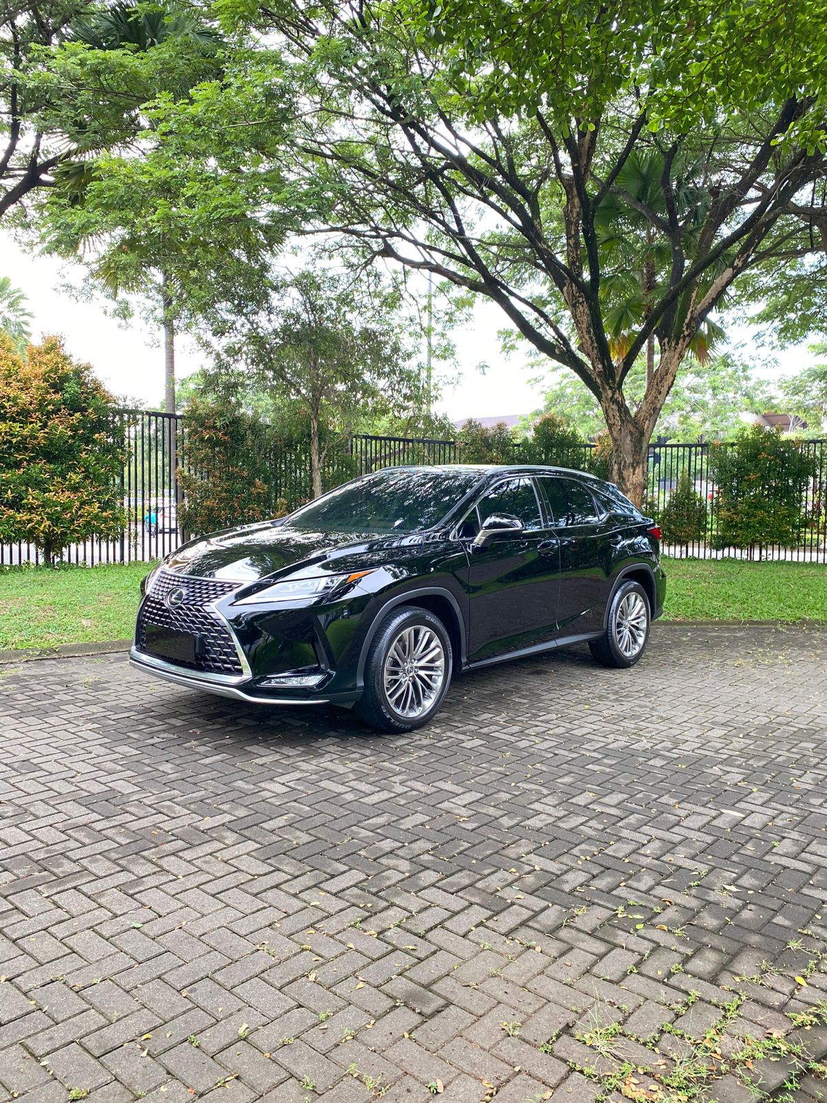 2022 Lexus RX 2022 Lexus RX