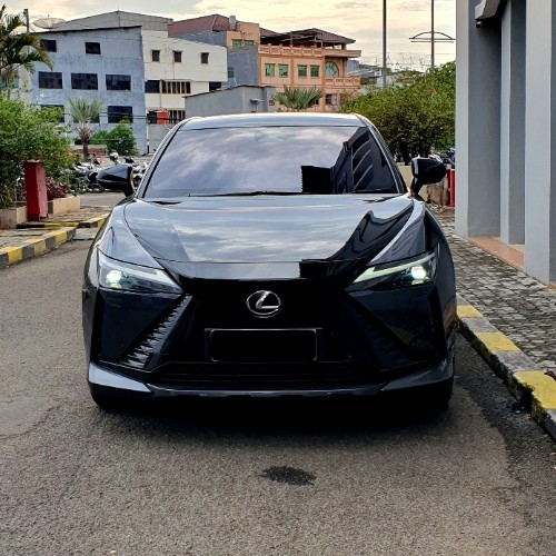 Second Hand 2023 Lexus RZ Second Hand 2023 Lexus RZ