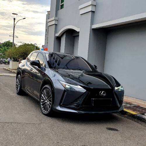 2023 Lexus RZ 2023 Lexus RZ