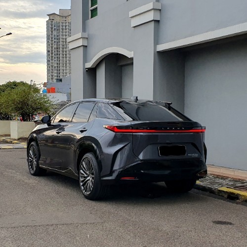 2023 Lexus RZ 2023 Lexus RZ