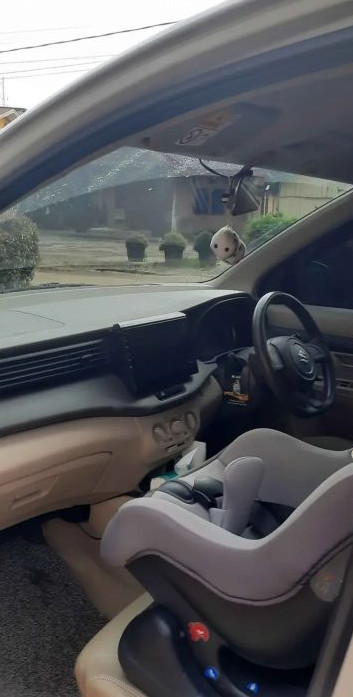 2019 Suzuki Ertiga Smart Hybrid 2019 Suzuki Ertiga Smart Hybrid