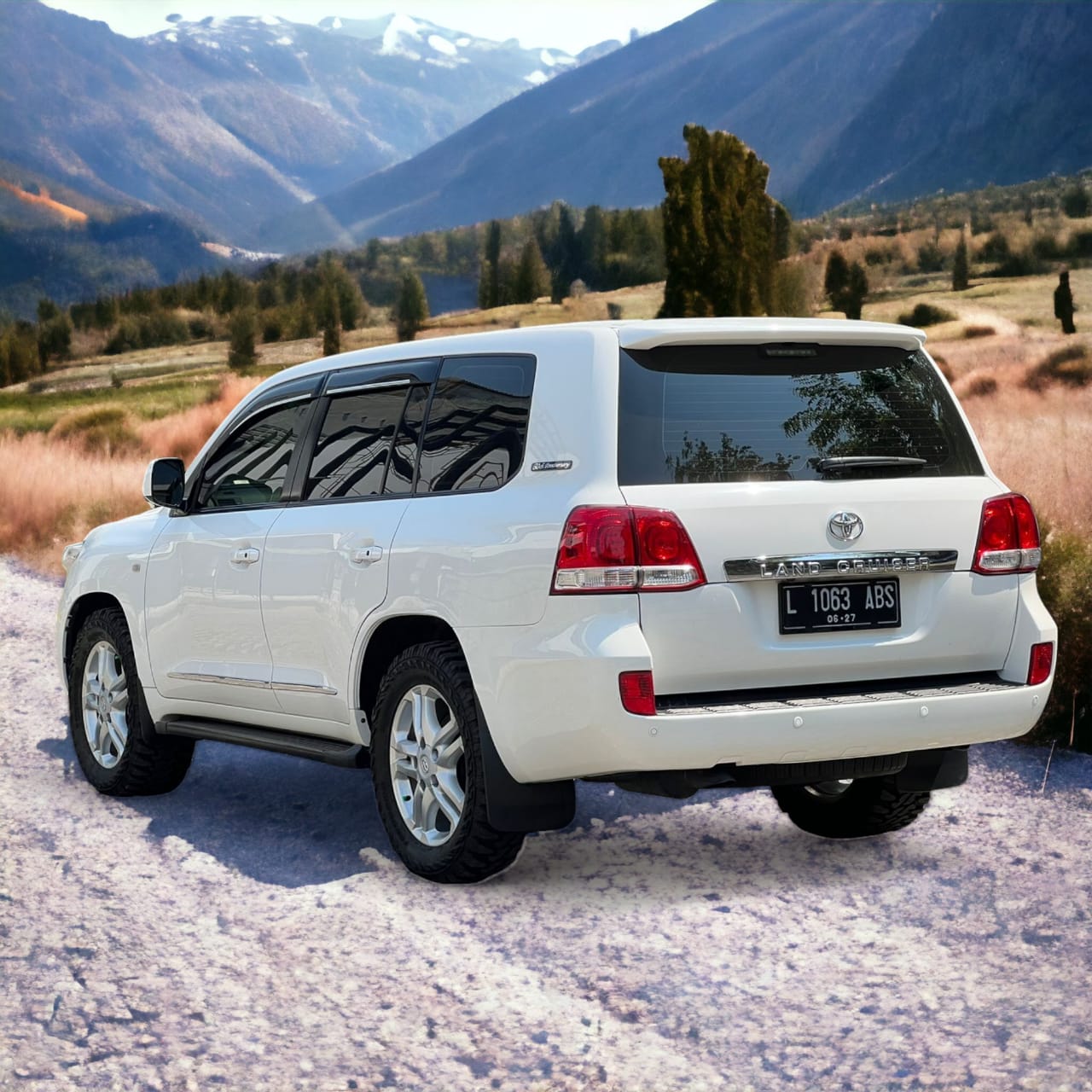 2011 Toyota Land Cruiser 2011 Toyota Land Cruiser