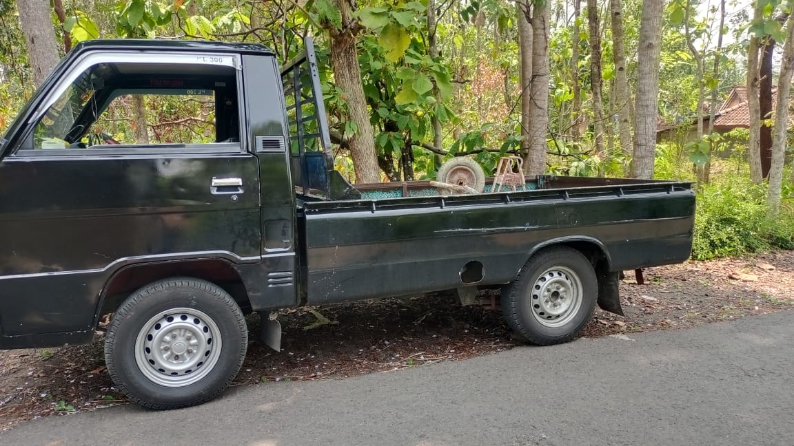 2011 Mitsubishi L300 2011 Mitsubishi L300