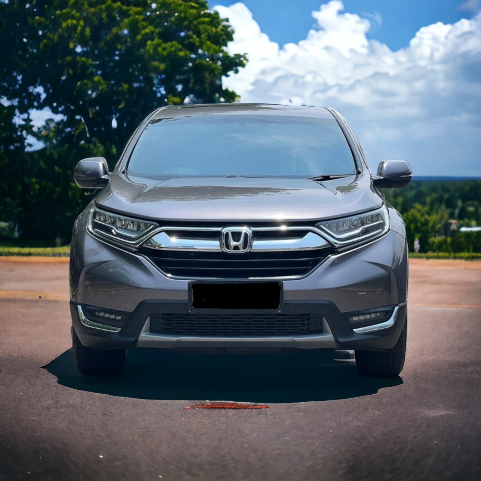 2019 Honda CR-V 2019 Honda CR-V