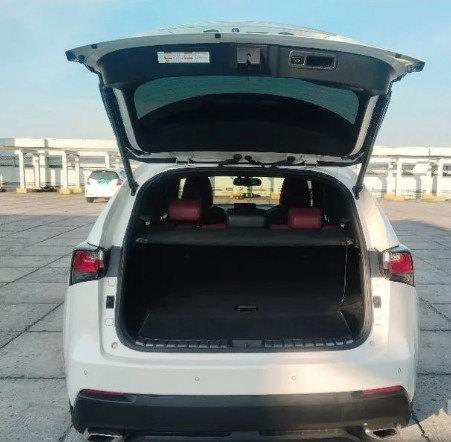 2016 Lexus NX 2016 Lexus NX