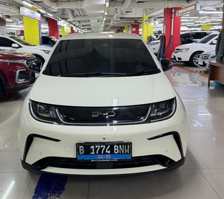 2025 BYD Dolphin Dynamic