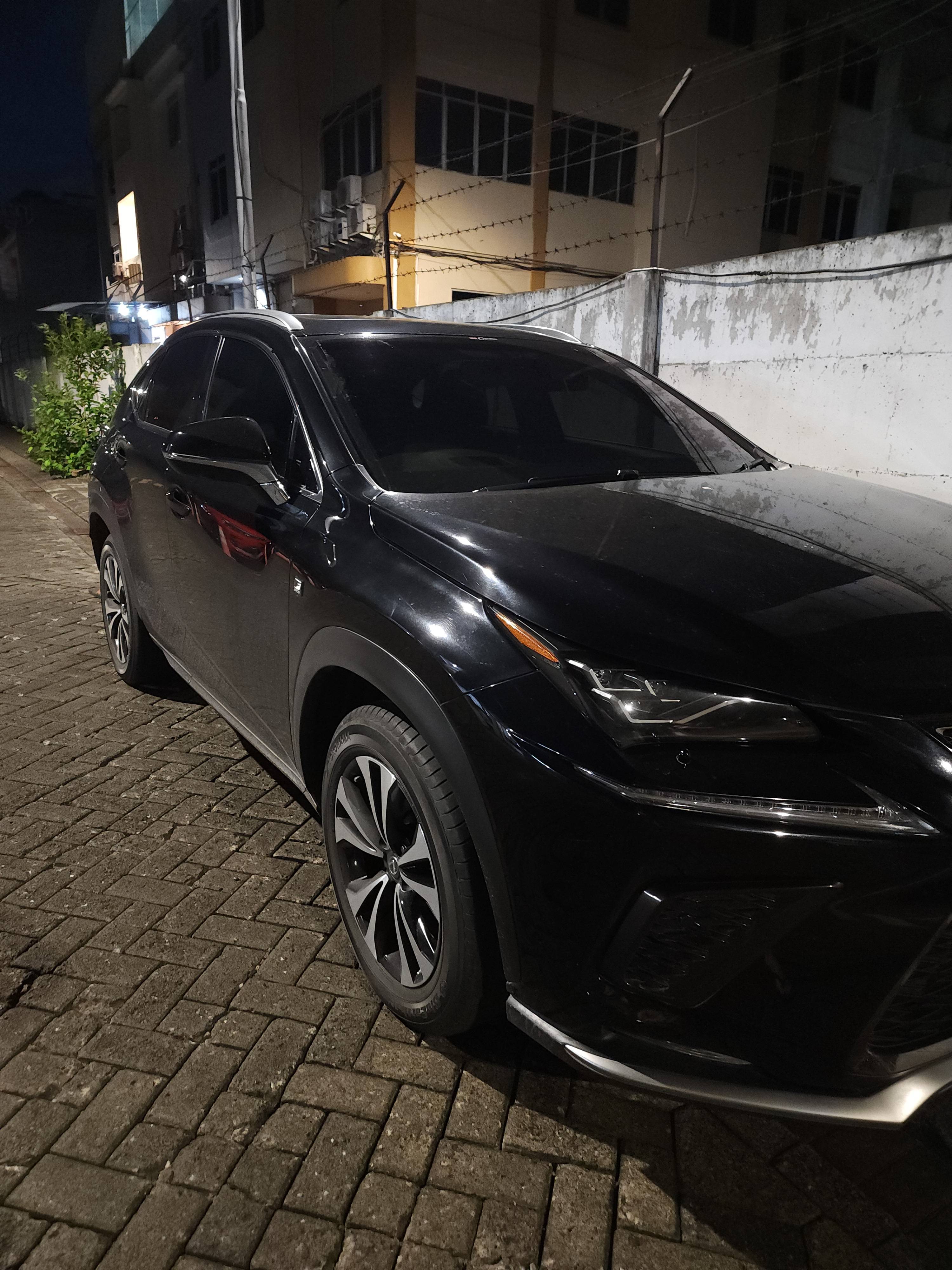 2019 Lexus NX 300 F-SPORT 300 F-SPORT bekas