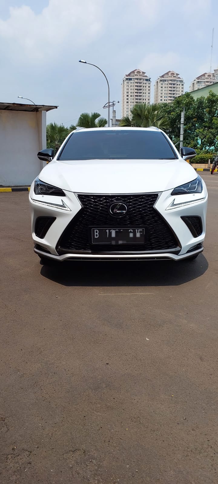 2019 Lexus NX 2019 Lexus NX