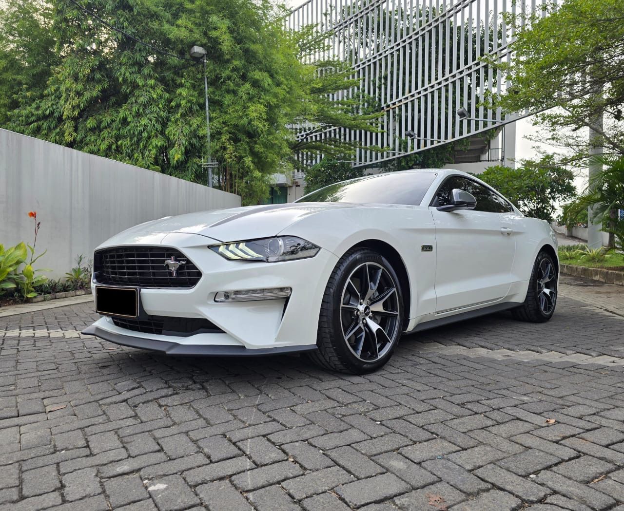 Second Hand 2023 Ford Mustang  2.3L EcoBoost Second Hand 2023 Ford Mustang  2.3L EcoBoost