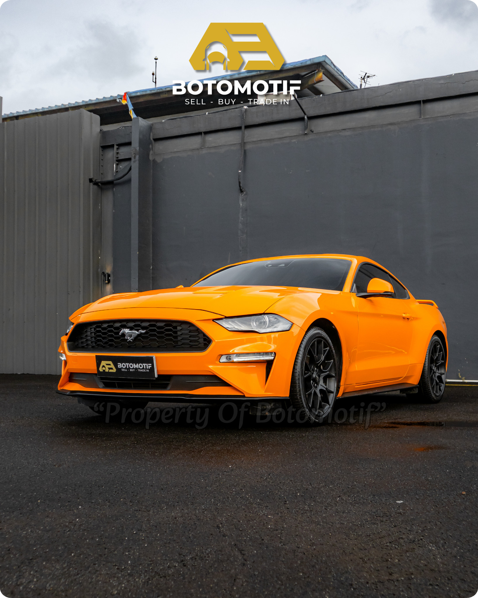 2019 Ford Mustang